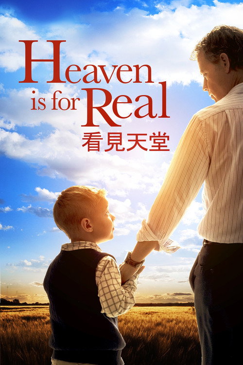 天堂真的存在 海报