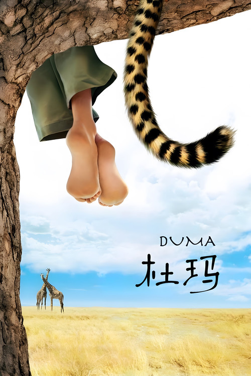 小豹杜玛 海报