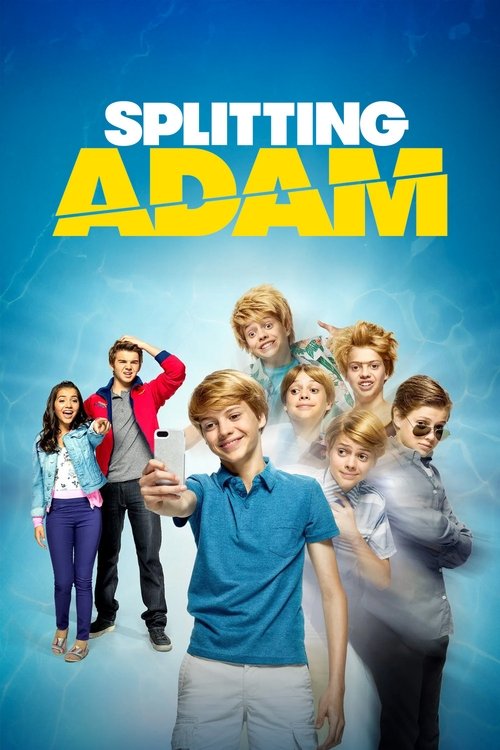 Splitting Adam 海报