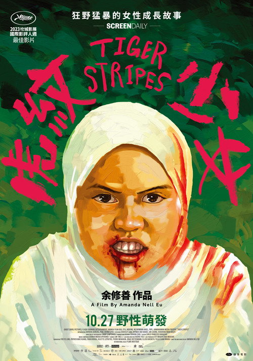 虎纹少女 海报