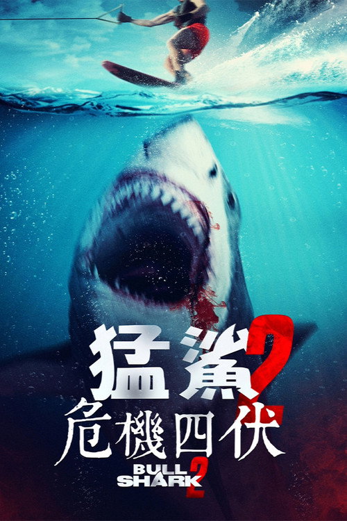 水中血2 海报