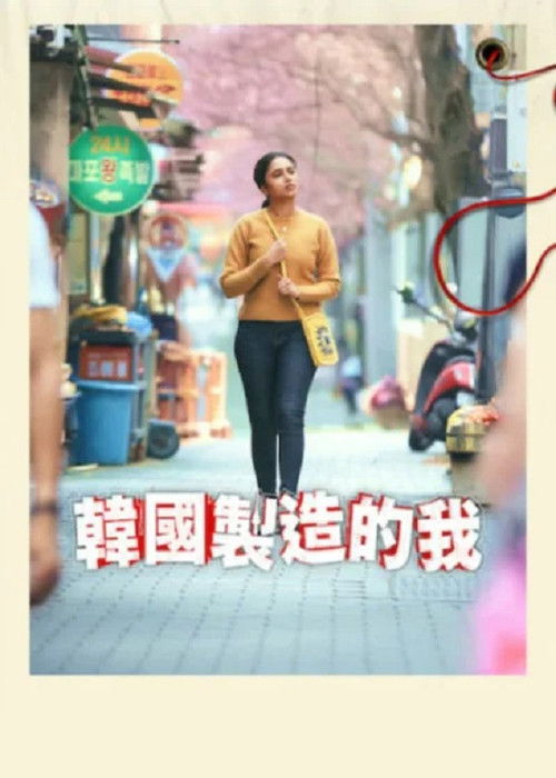 韩国制造的我 海报