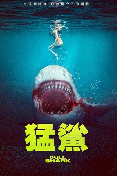 Bull Shark 海报