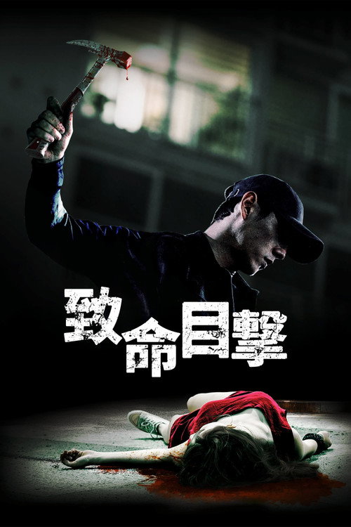 目击者 海报