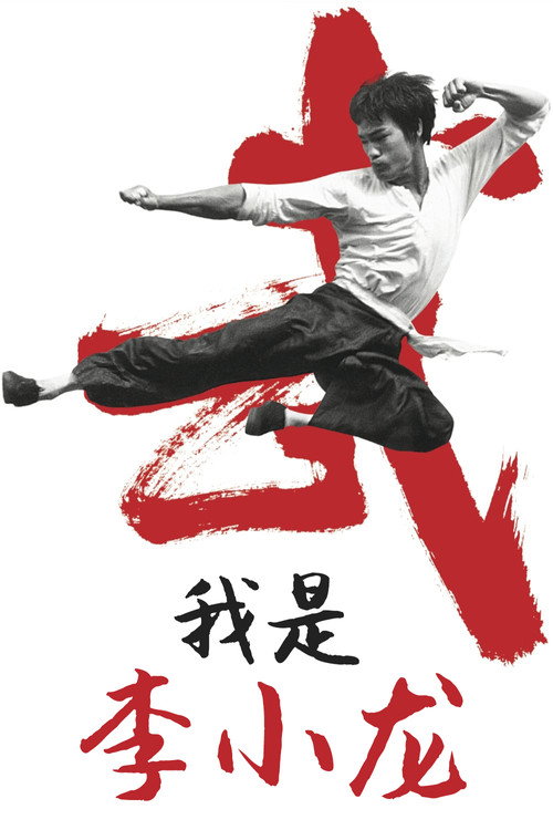 我是李小龙 海报