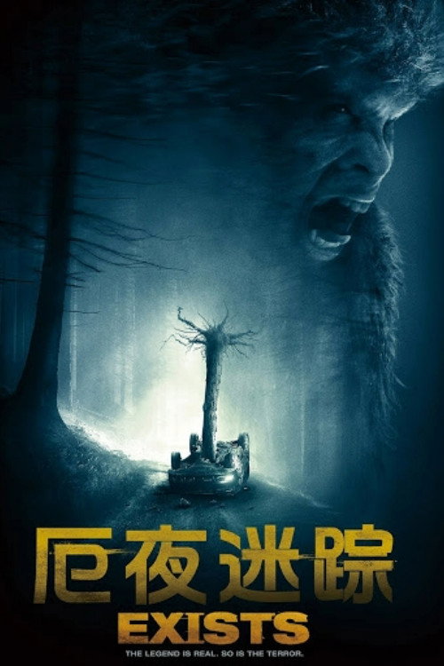 灵异存在 海报