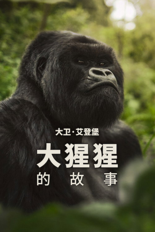 大卫·艾登堡：大猩猩的故事 海报