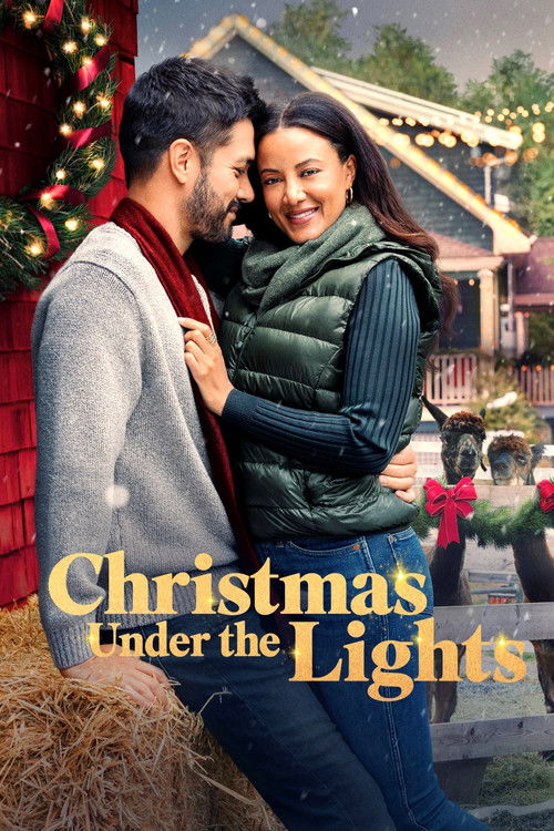 Christmas Under the Lights 海报