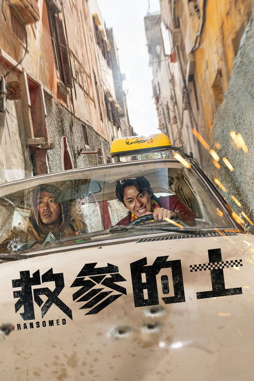 非官方行动 海报