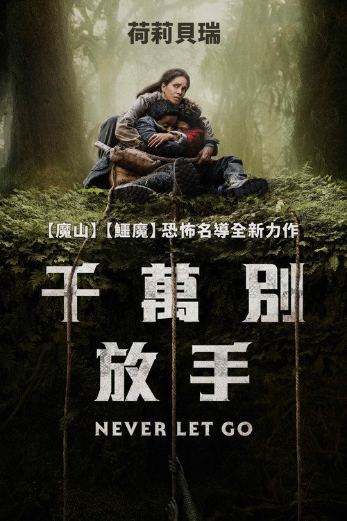 千万别松手 海报