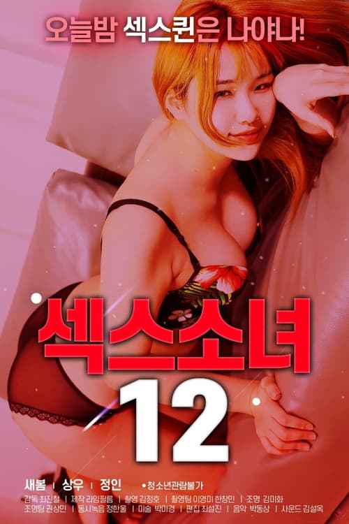 性感女郎12 海报