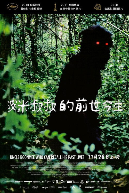 能召回前世的布米叔叔 海报