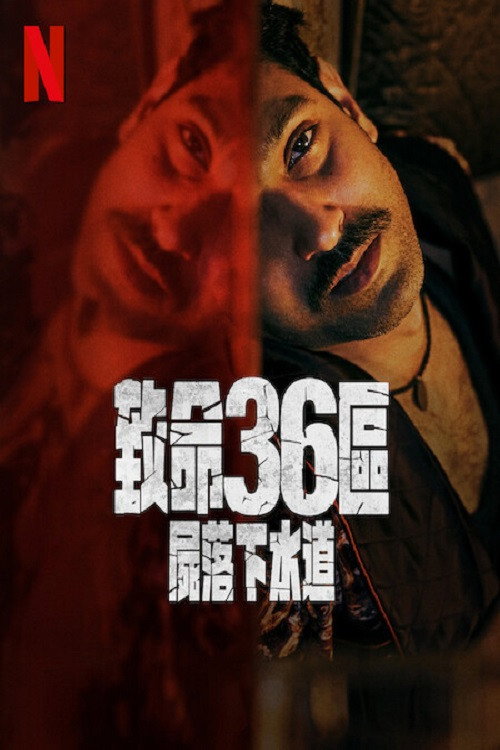 致命36区 海报