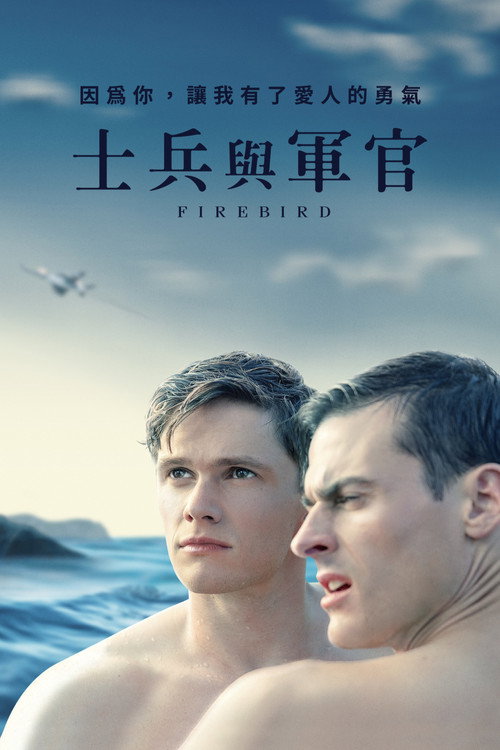 浴火鸟 海报