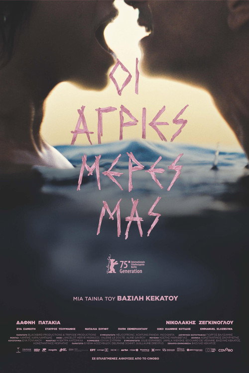 Οι άγριες μέρες μας 海报