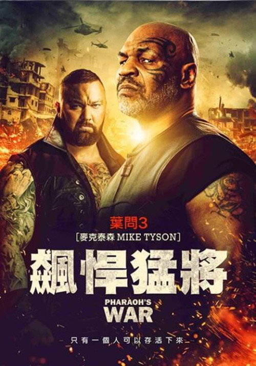 沙漠袭击 海报