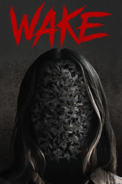 Wake 海报