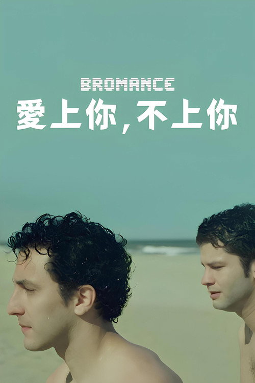 兄弟恰似爱人 海报