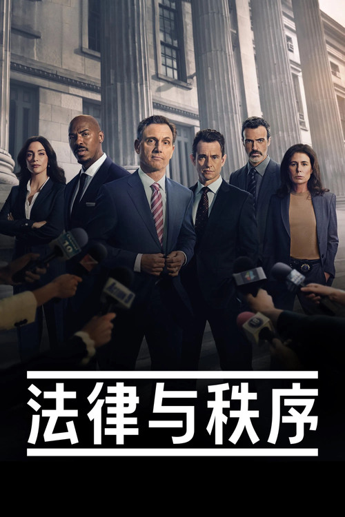法律与秩序 海报