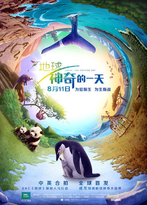 地球：神奇的一天 海报