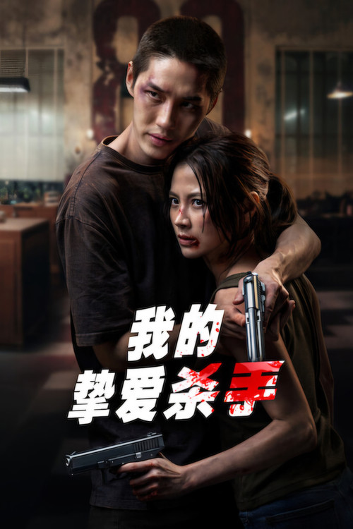 我的挚爱杀手 海报
