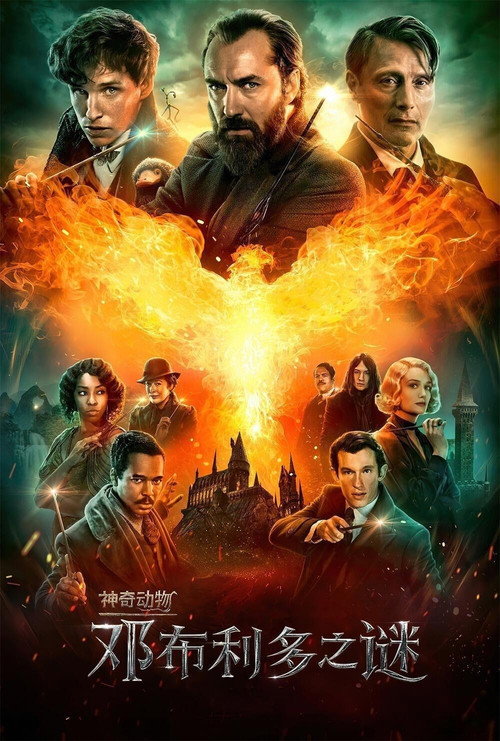 神奇动物：邓布利多之谜 海报