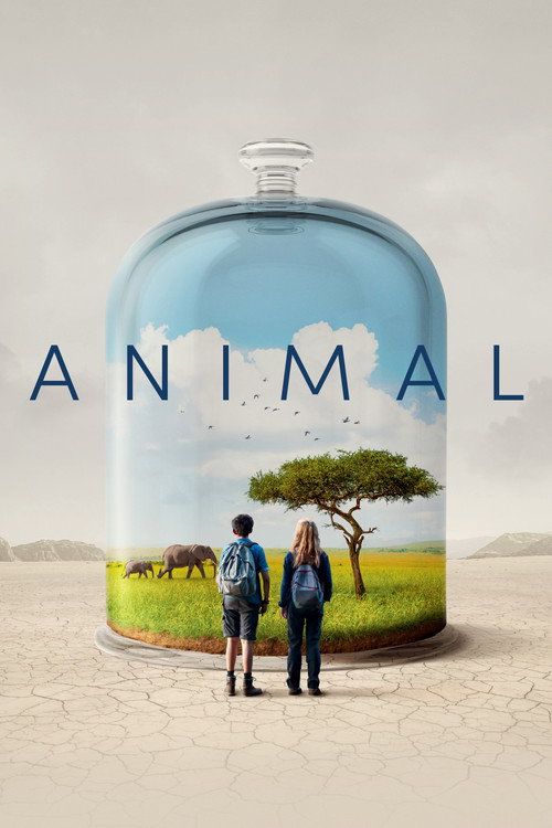 Animal 海报