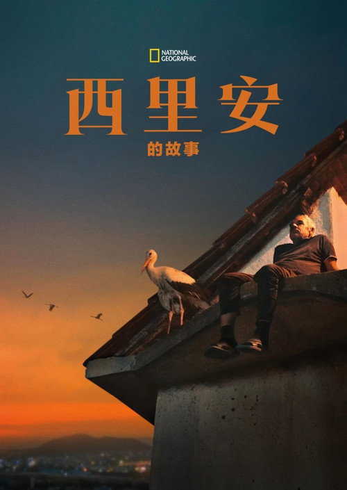 西里安的故事 海报