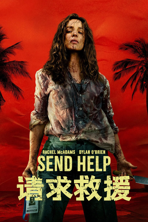 请求救援 海报
