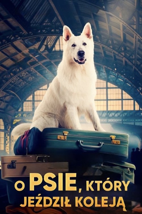 O psie, który jeździł koleją 海报