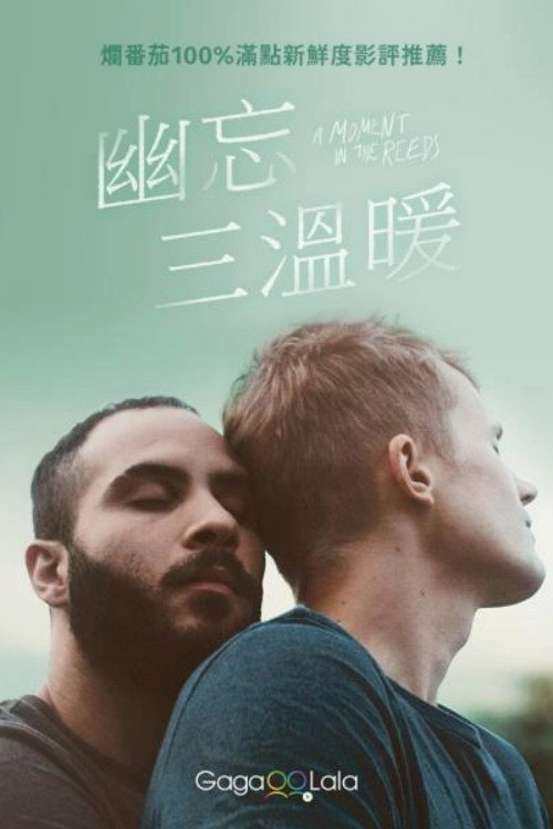 芦苇荡的时光 海报
