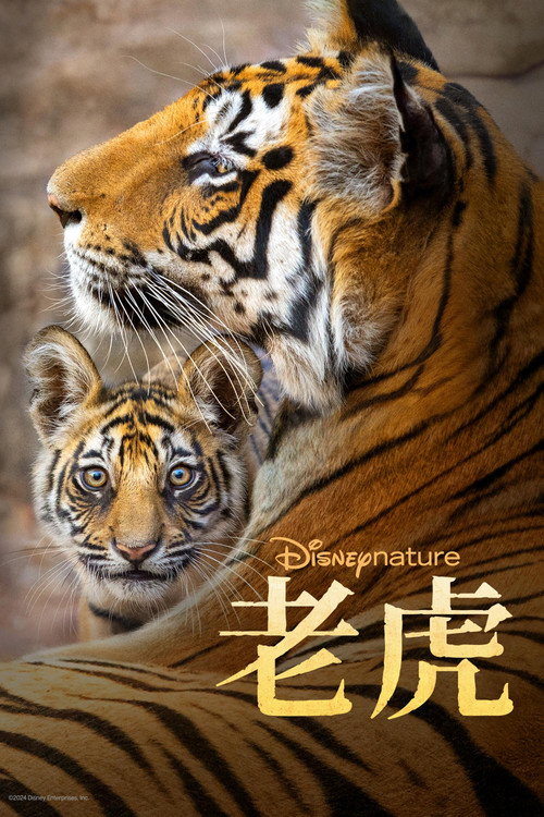 老虎 海报