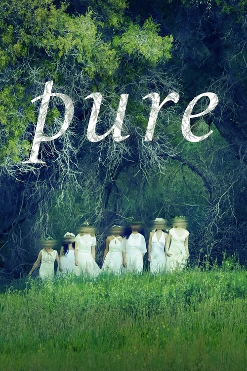 Pure 海报