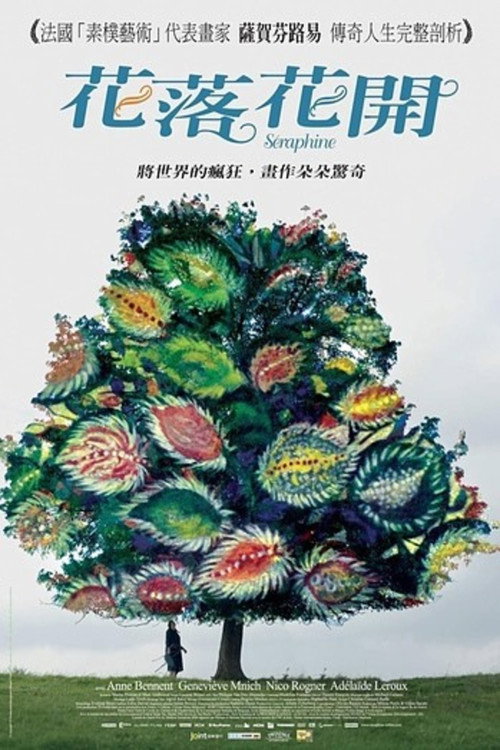花落花开 海报