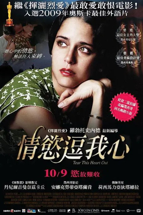 撕开我的人生 海报