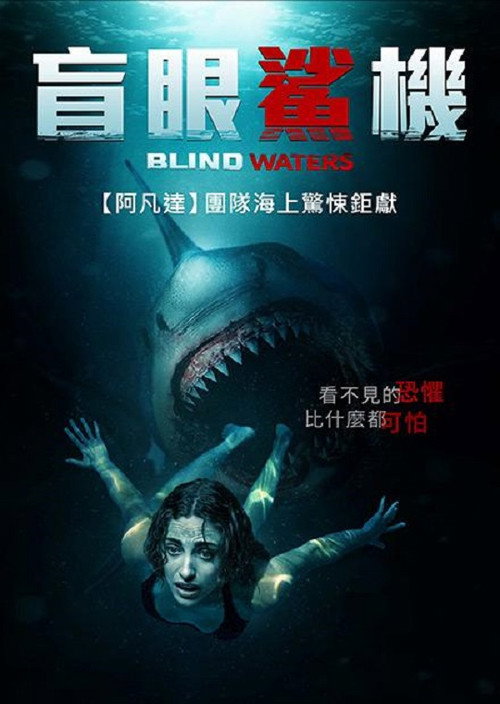 盲水 海报