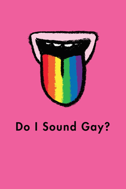 我听起来Gay吗？ 海报