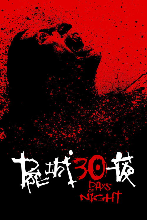三十极夜 海报