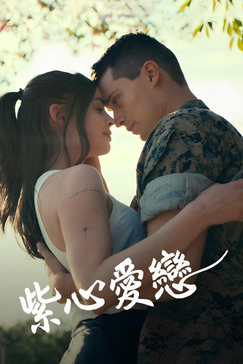 紫心之恋 海报