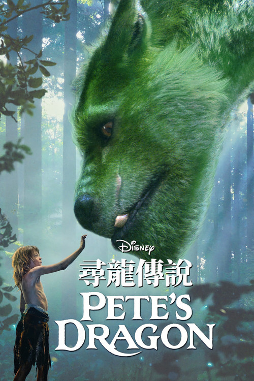 彼得的龙 海报